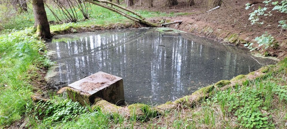 Weiher zu verpachten in Gleißenberg