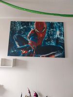Marvel Spiderman Leinwand Rheinland-Pfalz - Ellscheid Vorschau
