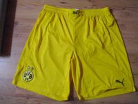 Puma BVB Borussia Dortmund Kinder Hose kurze Hose Trainings Nordrhein-Westfalen - Porta Westfalica Vorschau