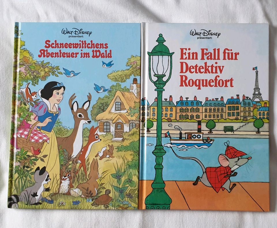 Kinderbücher Walt Disney in Olbernhau