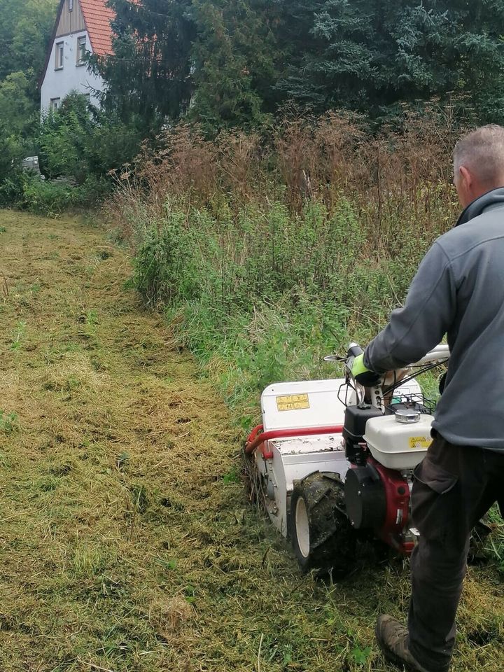 Baumfällung,Zaunbau,Garten und Landschaftsbau in Drei Gleichen