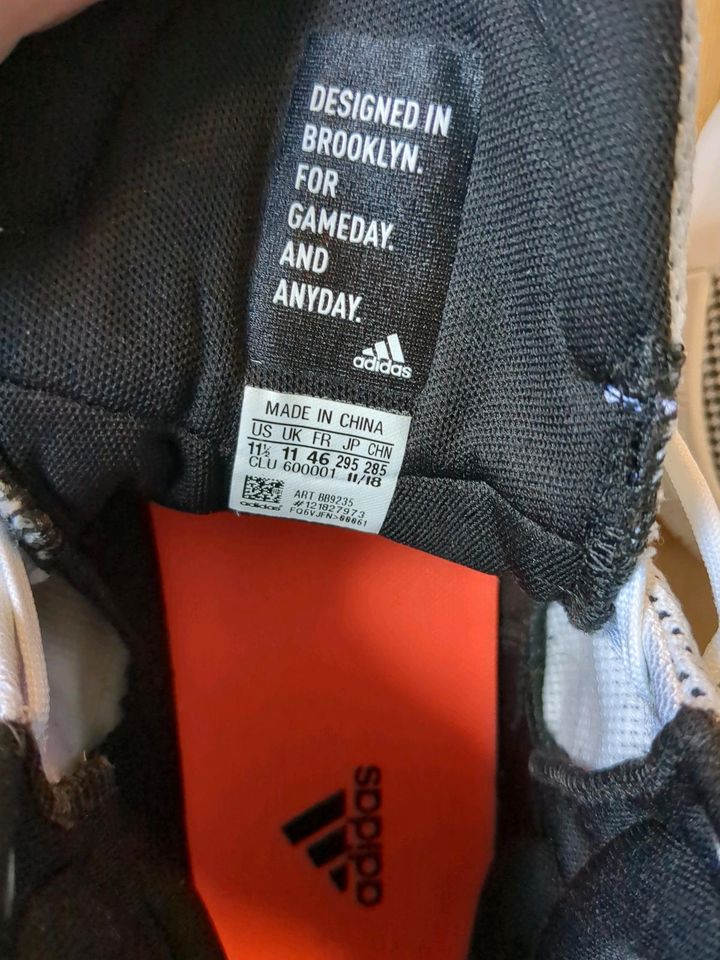 Adidas Pro Bounce Madness, Brooklyn Design 11222, NEU, Gr.46 in Berlin