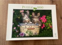 Puzzle süße Katzen 1000 Teile Ludwigslust - Landkreis - Hagenow Vorschau