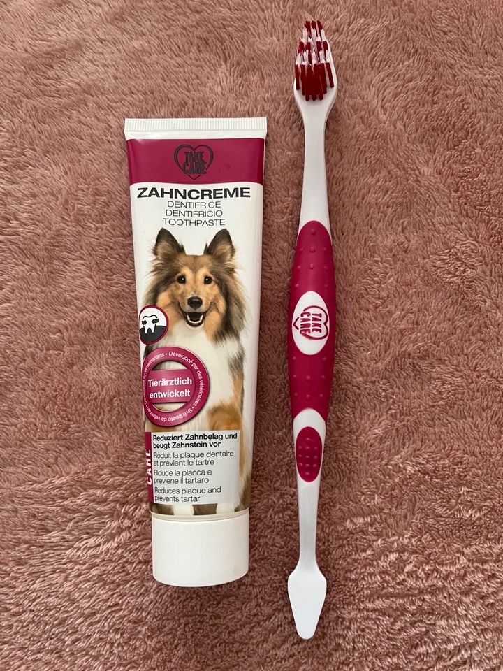 Zahncreme-Zahnbürste für Hunde in Duisburg