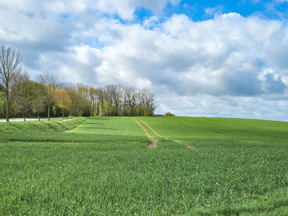 Lebensträume im Grünen: Resthof auf der Halbinsel Schwansen mit viel Potenzial in Rieseby