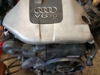 Audi VW 2,5 V6 TDI Motor AYM Ludwigslust - Landkreis - Neustadt-Glewe Vorschau