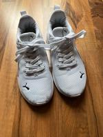 Puma Sneaker Turnschuhe Gr. 37 Nordrhein-Westfalen - Bad Oeynhausen Vorschau