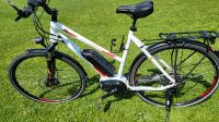 Bergamont eline c ebike e bike 56cm Trapez 500wh Hessen - Hohenahr Vorschau