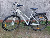 Damenfahrrad,Pegasus Avanti,28",18 Gang,Neuwertig,RH 45,Top Niedersachsen - Lüchow Vorschau