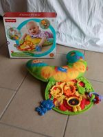 ⭐  Fisher Price Baby Bayern - Truchtlaching Vorschau