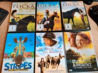 DVD Paket Pferdefilme Flicka , Stripes , Dreamer Niedersachsen - Faßberg Vorschau