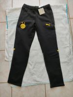 Sporthose Sweathose  Hose Puma BVB Größe 152 Niedersachsen - Sehnde Vorschau