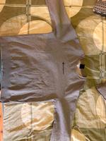 Champion Pullover Sachsen - Bahretal Vorschau