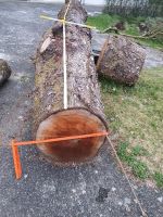 Kirschbaum 3,6 m  Birkenholz für  Handwerker Baden-Württemberg - Wangen im Allgäu Vorschau