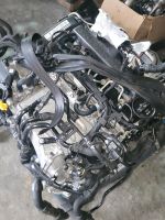 Motor VW Skoda 2.0 TDI DFG DFGA DFGB 150PS KOMPLETT Berlin - Wilmersdorf Vorschau