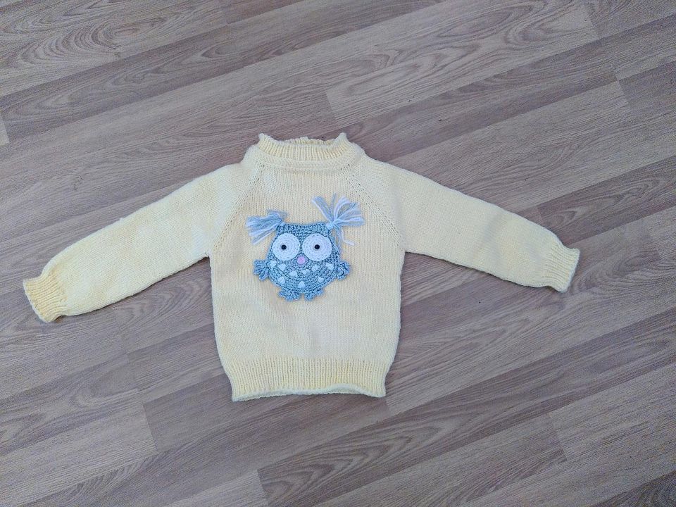 Handmade + neu! 2 Strickjacken, 1 Pulli Eule Blumen in Heidenau