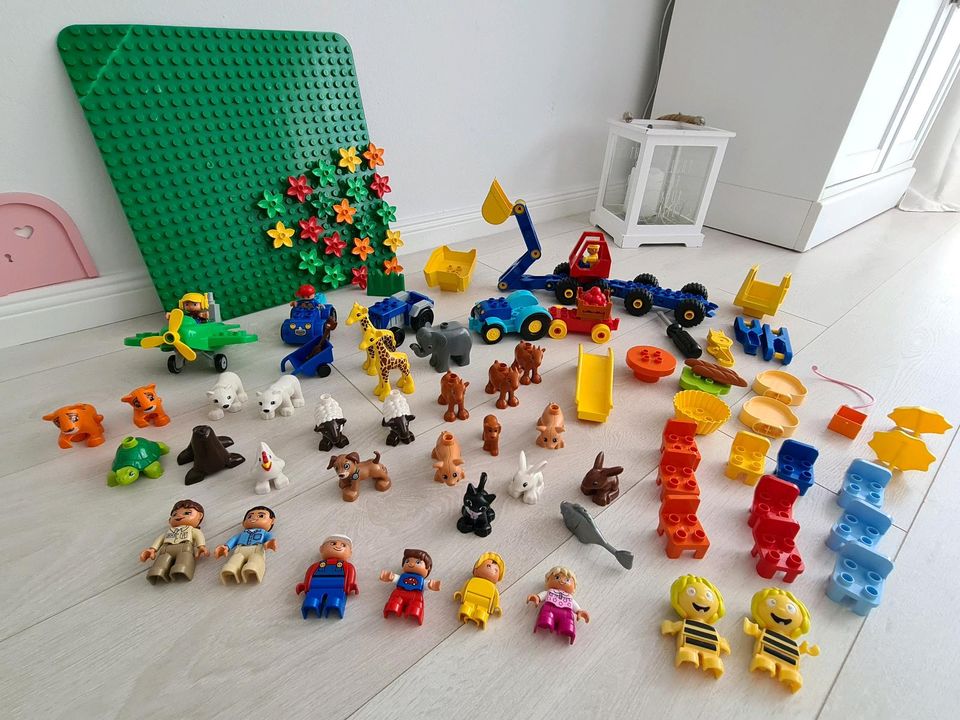 Lego Duplo Set XXL Tier Fahrzeuge Steine usw. in Hamburg