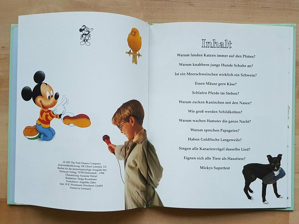 7x LERNBUCH Disney Kinderfragen mit Micky Mouse Lexikon in Leipzig