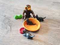 Playmobil Katzenkörbchen mit Katzenbabys Nordrhein-Westfalen - Bottrop Vorschau