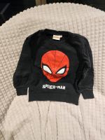 Spiderman Pulli und Jogging Größe 128 134 Bayern - Parsberg Vorschau