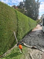 Gartenarbeit Gartenpflege Hecke schneiden uvm. Bayern - Bad Grönenbach Vorschau