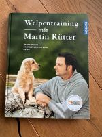 Martin Rütter Welpentraining Bayern - Herrsching Vorschau