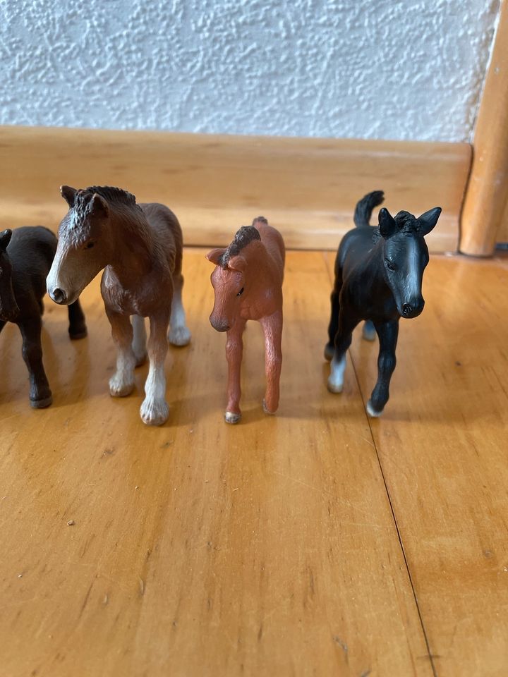 Schleich Fohlen in Hüde