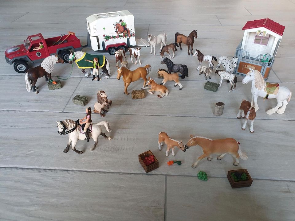 SCHLEICH Auto+Pferdeanhänger, Pferdebox, Reiterin+Pferd uvm in Hodenhagen