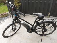 E-Bike von Bulls "Green Mover Lacuba Plus" Nordrhein-Westfalen - Hörstel Vorschau