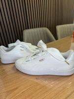 Puma Basket Schuhe Hessen - Taunusstein Vorschau