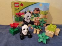 Lego Duplo 6173 Pandabär mit Tierpflegerin Bayern - Schwabach Vorschau