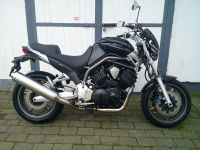 Yamaha BT 1100 Bulldog *Service neu + gepflegte Dogge* Rheinland-Pfalz - Polch Vorschau