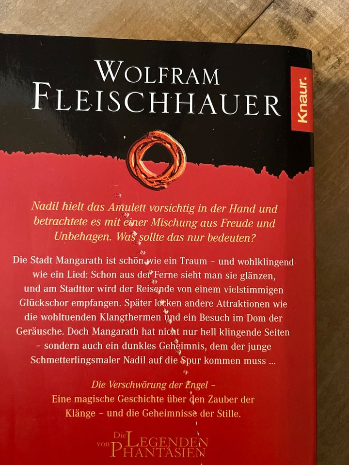 Wolfram Fleischhauer - Die Verschwörung der Engel in Brandis