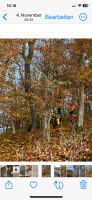 Kirschbaum und Eichen Stämme, Baumstamm Bayern - Winzer Vorschau