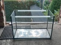 Terrarium 50 lang x 30 tief x 30 hoch Sachsen-Anhalt - Sandersdorf Vorschau