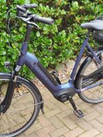 E-Bike Gazelle Neuwertig Rostock - Gross Klein Vorschau
