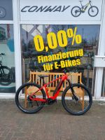 Trenoli Montubo EMTB BOSCH lieferbar 29" rot und grau 47 u. 44 cm Häfen - Bremerhaven Vorschau