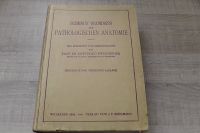 Schmaus' Grundriss der Pathologischen Anatomie 1919 Rheinland-Pfalz - Bad Kreuznach Vorschau