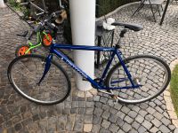 Cannodale Fahrrad Trekkingbike Nordrhein-Westfalen - Petershagen Vorschau