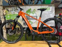 Haibike Alltrack 6 E-Bike RH M/L Rheinland-Pfalz - Trippstadt Vorschau