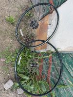 29 Zoll tubeless Vorderrad Felge WTB STp i19 622 x 19 Disc Berlin - Reinickendorf Vorschau