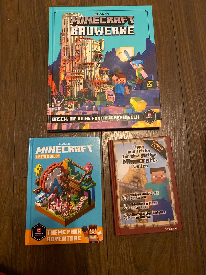 Minecraft Bücher in Offenbach