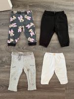 Leggings Gr. 74 H&M Minnie Mouse Steiff Zara Schwarz Weiß Jogger Nordrhein-Westfalen - Olfen Vorschau