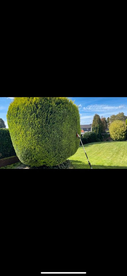 Gartenarbeit & Jahrespflege & Heckenschnitt & Objektpflege in Bottrop