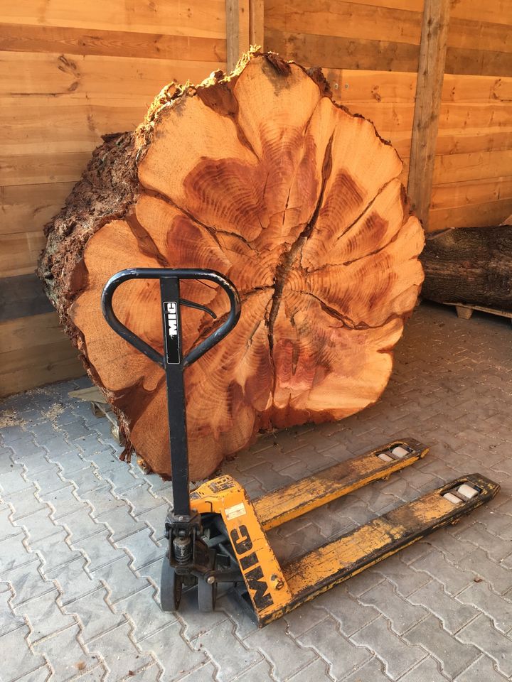 Mammut  XXL Baum Tisch Groß Küche Trocken in Pottenstein