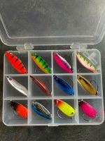 Forelle Trout Spoons Set in Tackle Box 12 Stück 2-3 Gramm Angeln Niedersachsen - Fürstenau Vorschau