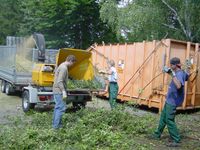 Entsorgung Entfernen Grünschnitte Laub und Sand Kies etc Sachsen-Anhalt - Tangermünde Vorschau