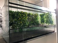 Terrarium 120x60x60 Aqua-Terrarium Schildkröten Aquarium Hessen - Hünfelden Vorschau