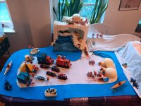 Playmobil-Inuit und Polarforscher-Anlage Schleswig-Holstein - Flensburg Vorschau