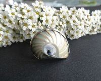 Nautilus Muschel Ring Silber 925 Baden-Württemberg - Heilbronn Vorschau